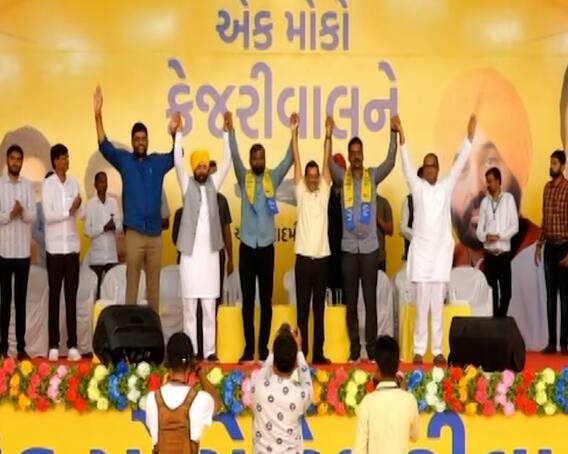 Gujarat Assembly Election 2022: ભાવનગરમાં અરવિંદ કેજરીવાલની હાજરીમાં પાટીદાર નેતા અલ્પેશ કથિરીયા AAPમાં જોડાયા Gujarat Assembly Election 2022: ભાવનગરમાં અરવિંદ કેજરીવાલની હાજરીમાં પાટીદાર નેતા અલ્પેશ કથિરીયા AAPમાં જોડાયા