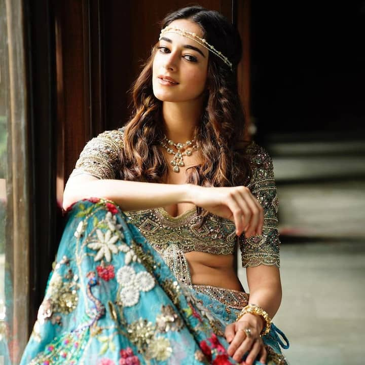 Happy Birthday Ananya Panday : अनन्या पांडेची गणना बॉलिवूडमधील श्रीमंत अभिनेत्रींमध्ये केली जाते.