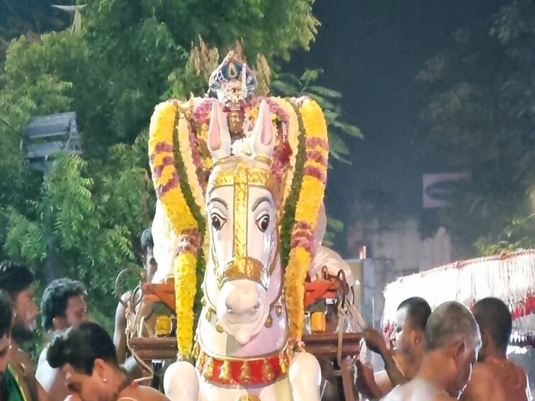 Kanchipuram Kumarakottam Subramania Swami Temple 5th day of kantha sasti 2022 Kandha Shasti : கந்தசஷ்டி விழா : ராஜகுதிரை வாகனத்தில் காட்சியளித்த முத்துகுமார சுவாமி..!