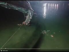 Morbi Cable Bridge Collapses: मोरबी पुल हादसे के बाद नदी से तैरकर लोगों ने बचाई जान, देखें वीडियो