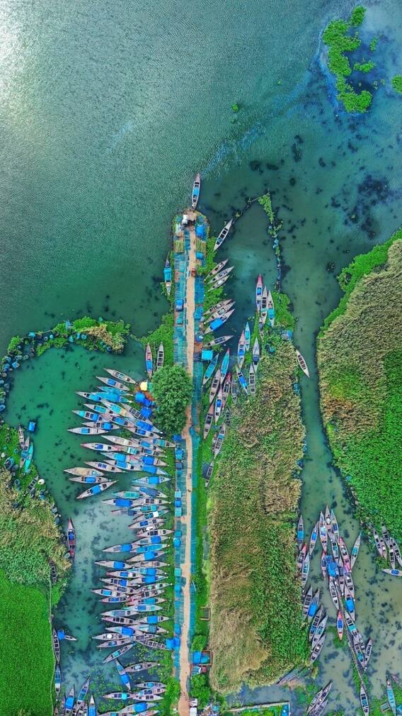 PHOTO : ओडिशाचा विलोभनीय चिल्का सरोवर, निसर्गप्रेमींचं नंदनवन