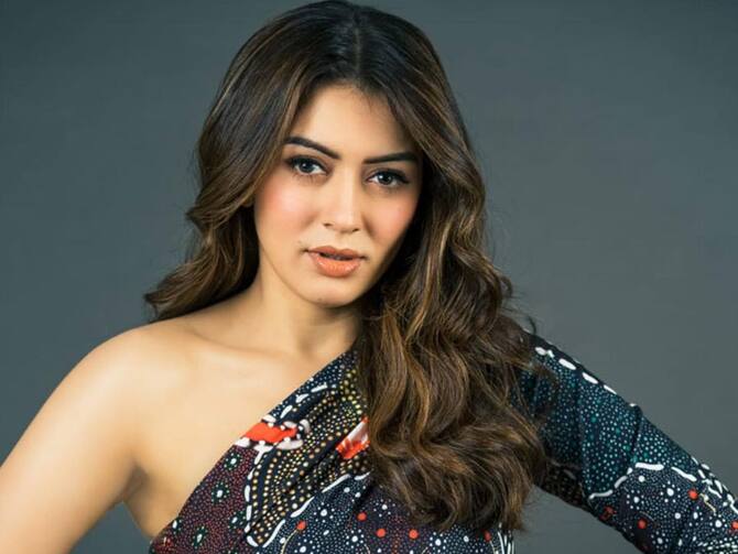 Hansika Motwani's Mystery Man Name, When And Where Is The Wedding Taking Place, Here You Get Complete Details | कौन हैं Hansika Motwani के होने वाले दूल्हे राजा, कब और कहां से