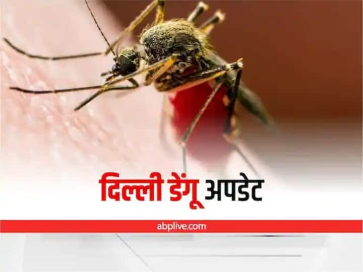 Delhi Dengue Cases 299 dengue patients found in Delhi in last one week Delhi Dengue Cases: दिल्ली में तेजी से बढ़े डेंगू के मामले, पिछले एक हफ्ते में मिले 299 मरीज, देखें- पूरा आंकड़ा