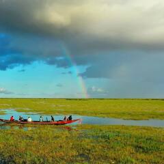 PHOTO : ओडिशाचा विलोभनीय चिल्का सरोवर, निसर्गप्रेमींचं नंदनवन
