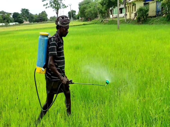 சர்தார் வல்லபாய் பட்டேல் பிறந்தநாள்; மயிலாடுதுறையில் ஒற்றுமை ஓட்டம்!