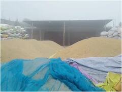 गाजीपुर में 28 फरवरी तक बेचे जाएंगे MSP पर धान, किसानों को मिलेगा अब ऑनलाइन पेमेंट