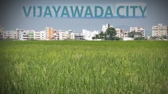 Vijayawada City Agriculture: నగరంలోనూ వ్యవసాయం చేస్తున్న రైతులు, వారి పరిస్థితి ఏంటి..? | DNN