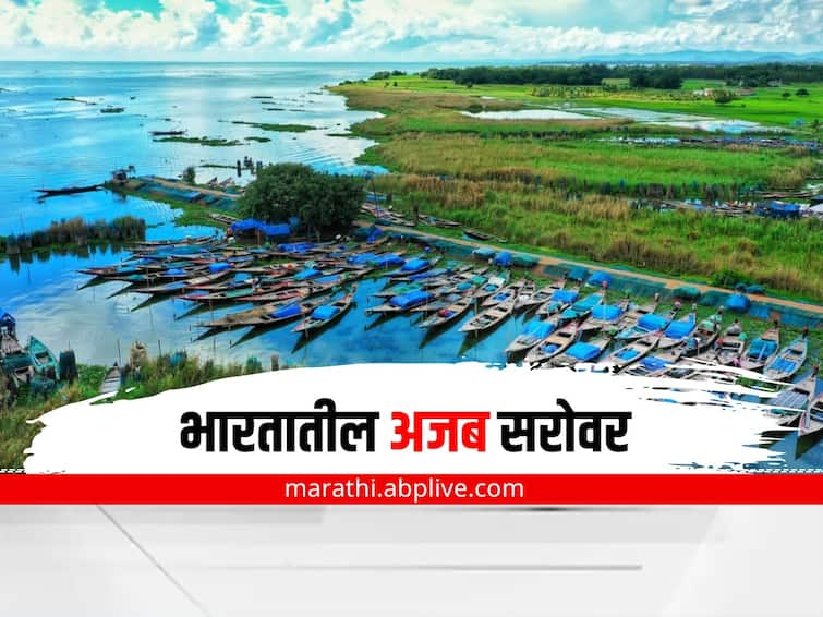 Odisha Chilika India Lake largest marine lake best Tourists place Odisha water sweet in monsoon and salty in summer Odisha Chilika India : भारतातील अजब सरोवर, उन्हाळ्यात खारं तर पावसाळ्यात असतं गोड पाणी 