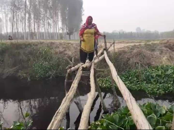 Baghpat News  A bridge has been built on the Krishna river by erecting bats ANN Baghpat News: गांव में 20 साल पहले बल्लियां खड़ी कर बनाया गया था पुल, अब हुआ जर्जर, लोग जान पर खेलकर कर रहे पार