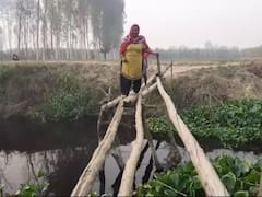 गांव में 20 साल पहले बल्लियां खड़ी कर बनाया गया था पुल, अब हुआ जर्जर, लोग जान पर खेलकर कर रहे पार