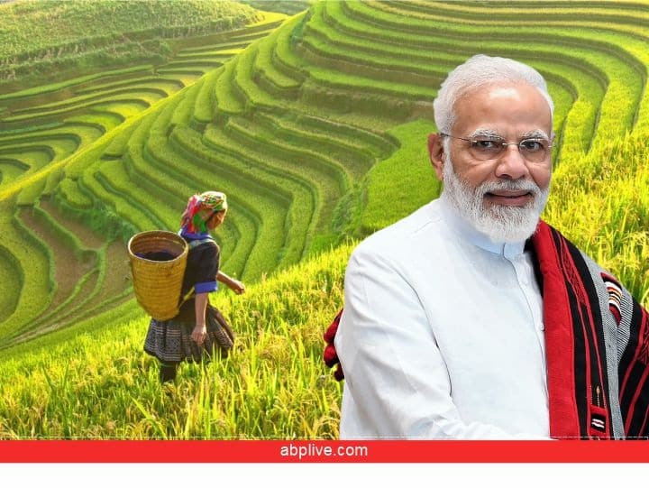 PM Kisan Yojana: केंद्र सरकार ने 17 अक्टूबर 2022 को योजना की 12 किस्त जारी की है. इसमें पीएम मोदी में देशभर के 12 करोड़ से अधिक किसानों के खाते में 2,000-2,000 रुपये ट्रांसफर किए हैं.