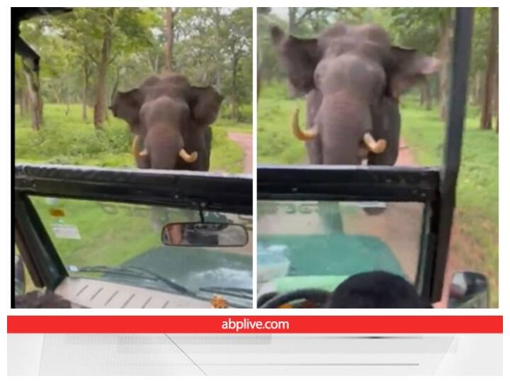 Video: गुस्सैल हाथी से हुआ जंगल सफारी का सामना, ड्राइवर को समझदारी ने बचाई जान Angry elephant attacked jungle safari in the jungle Video: गुस्सैल हाथी से हुआ जंगल सफारी का सामना, ड्राइवर को समझदारी ने बचाई जान
