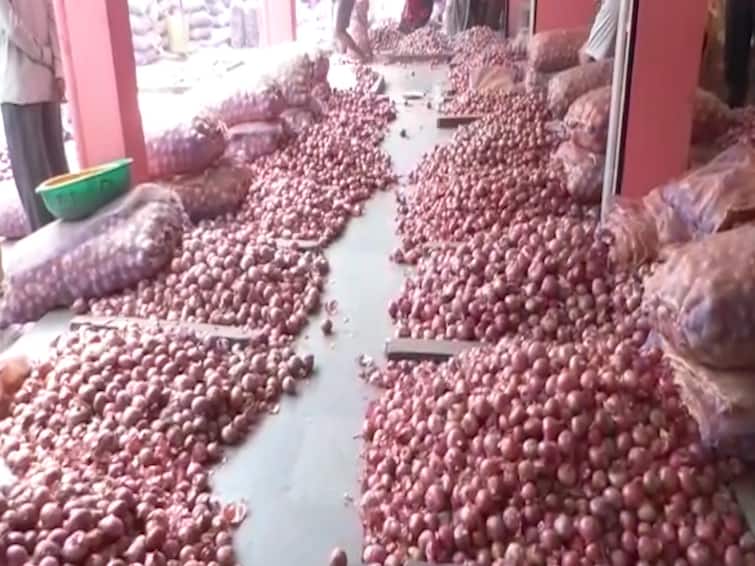  Farmers in trouble due to fall in onion prices in Nashik  कांद्याचे दर घसरल्याने शेतकऱ्यांच्या डोळ्यात पाणी; उत्पादन खर्चही निघेना 