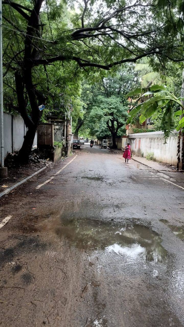 ஆனால், ஒரு சில பகுதிகளில் மழை நீ்ர் தேங்காமல் உள்ளது