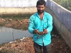 हिंगोलीच्या शेतकऱ्याची भन्नाट आयडिया, खेकडा पालनातून वर्षाला घेतोय 6 लाखांचे उत्पन्न