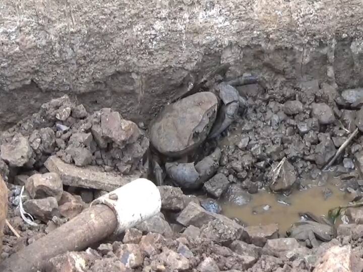 यूट्यूबवर भरत यांनी खेकडा पालनाचा व्हिडीओ पहिला आणि पाहताच क्षणी हा उपक्रम आपणही राबवायचा ठरवले.