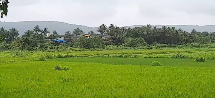 रोहा आणि मुरूड तालुक्यातील संभाव्‍य प्रकल्‍पग्रस्‍त शेतकऱ्यांनी आज अलिबाग येथील जिल्‍हाधिकारी कार्यालयावर मोर्चा काढण्यात आला होता.