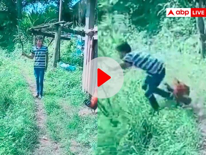 man hits chicken immediately gets karmo ka fal viral video on social media Video: मुर्गे को मार रहा था लड़का, तुरंत मिला कर्मों के फल