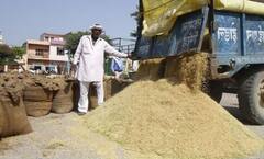 Paddy Procurement: ਪੰਜਾਬ ਦੀਆਂ ਮੰਡੀਆਂ 'ਚ ਰੋਜ਼ਾਨਾ 7 ਲੱਖ ਮੀਟ੍ਰਿਕ ਟਨ ਝੋਨੇ ਦੀ ਆਮਦ, ਇਸ ਤਰ੍ਹਾਂ ਹੋ ਰਿਹੈ ਪ੍ਰਬੰਧ