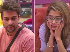 Bigg Boss 16 Day 31 Updates: अब्दु ने किया निमृत के साथ फ्लर्ट, टीना और शालीन में हुआ झगड़ा