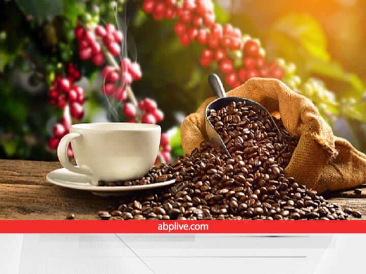 Coffee plantation will be in 10 thousand hectares in Odisha Coffee Production: इस स्टेट में बनेगा कॉफी प्रोडक्शन हब, 10 हजार हेक्टेयर में होगा बागान, ये है सरकार की योजना