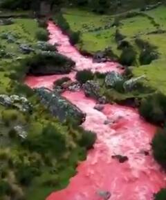 VIDEO: ਇੱਥੇ ਵਘਦੀ ਹੈ 'ਖੂਨ ਦੀ ਨਦੀ'! ਕਾਰਨ ਜਾਣ ਕੇ ਉੱਡ ਜਾਣਗੇ ਹੋਸ਼