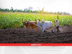 अब गुरुकुल में खेती सीखेंगे किसान, इस रबी सीजन के लिए यूपी सरकार ने तैयार किया है मास्टर प्लान