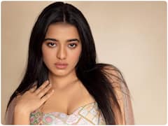 Ketika Sharma New Pics : విజయాలు నిల్ - గ్లామర్ ఫొటోషూట్స్ ఫుల్ - కేతికా శర్మ కొత్త ఫోటోలు 