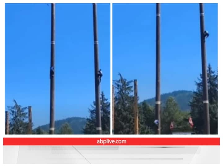 During  sports competition players climbed the pole on sight like Monkey Video: प्रतियोगिता के दौरान देखते ही देखते पोल पर चढ़े खिलाड़ी, यूजर्स बोले- इंसान हैं या बंदर