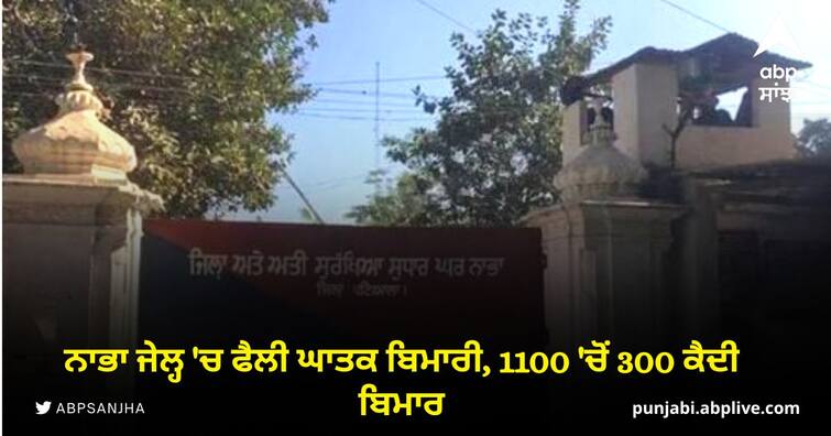 Deadly disease spread in Nabha Jail 300 out of 1100 prisoners sick Patiala News: ਨਾਭਾ ਜੇਲ੍ਹ 'ਚ ਫੈਲੀ ਘਾਤਕ ਬਿਮਾਰੀ, 1100 'ਚੋਂ 300 ਕੈਦੀ ਬਿਮਾਰ