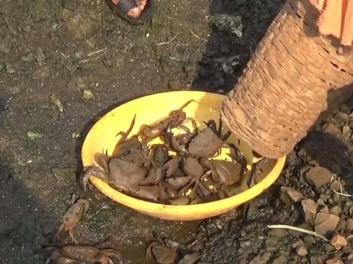 स्वतः च्या शेतात 20*50 फूट आणि 8 फूट खोल असे शेततळे खोदून त्या शेत तळ्याचे काँक्रिटच्या माध्यमातून बांधकाम करण्यात आले.