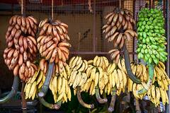 विदेशियों को खूब भाया देसी केला, पिछले 9 साल में इन राज्यों से हुआ 327 करोड़ का निर्यात