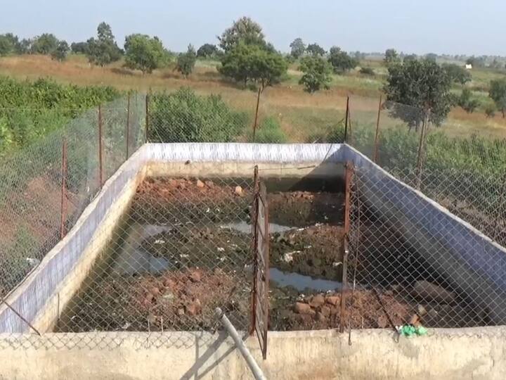 खेकड्यांना जोपासण्यासाठी गुंतवणुकी व्यतिरिक्त कोणताही खर्च नाही. चिकन आणि मासे यातील वेस्टेज या खेकड्यांना खायला दिले जाते. दर आठ दिवसाला शेत तळ्यातील पाणी बदलून ही काळजी घेतली जाते.