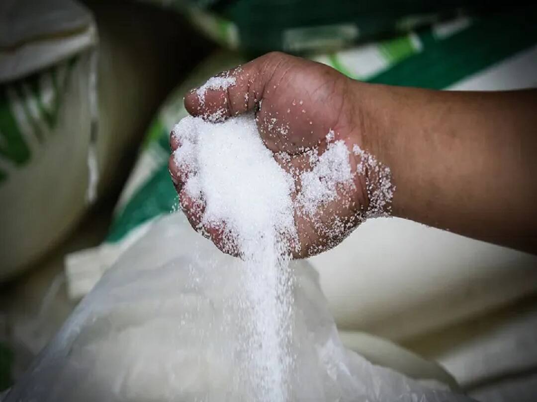 Sugar Production india ban on sugar export for one year   Sugar Export : केंद्र सरकारकडून साखर निर्यातीवर एक वर्षासाठी बंदी, मात्र, 'या' देशांमध्ये निर्यातीसाठी सूट 