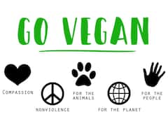 World Vegan Day: ఆరోగ్యం కోసం వీగన్లుగా మారాలనుకుంటున్నారా? అయితే మీరు తినాల్సినవి ఇవే