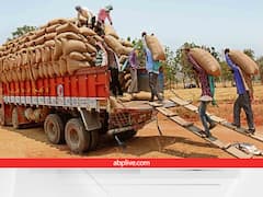 पंजाब में धान की आवक-खरीद ने तोड़े सारे रिकॉर्ड, जल्द किसानों के खाते में ट्रांसफर हुई 15,400 करोड़ की पेमेंट