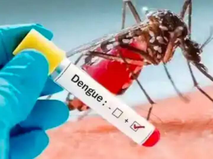 Shamli News Ten people died in Binda Village after Dengue fever Shamli Dengue: शामली के एक ही गांव में डेंगू से 10 लोगों की मौत, 80 फीसदी लोग अभी भी बीमार