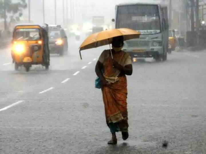 Chennai Rain: தமிழகத்தின் பல்வேறு பகுதிகிளில் கனமழை பெய்து வருவதையொட்டி வைரலாகும் போட்டோக்களை இங்கே காணலாம்.