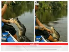 मगरमच्छ को गोद में बिठाकर खाना खिलाते नजर आया शख्स, होश उड़ा देगा वीडियो