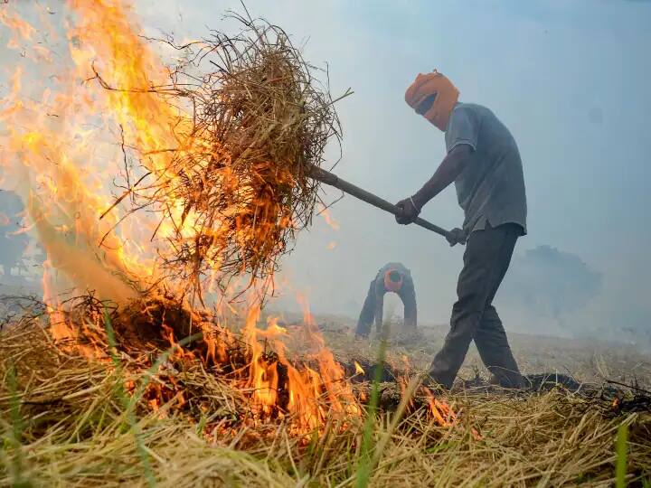 Punjab Stubble Burning in Barnala Bhartiya Kisan Union Kadiya Stop them ANN Punjab Stubble Burning: पंजाब में पराली की आग भुझाने गई फायर ब्रिगेड टीम को लोगों ने बनाया बंधक, कब्जे में ली गाड़ी