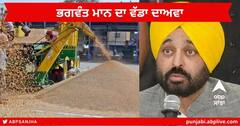 Punjab News : ਸੀਐਮ ਭਗਵੰਤ ਮਾਨ ਦਾ ਦਾਅਵਾ, ਕਿਸਾਨਾਂ ਦੇ ਖਾਤਿਆਂ 'ਚ 24 ਘੰਟਿਆਂ ਦੇ ਅੰਦਰ-ਅੰਦਰ ਪੈ ਰਹੀ ਪੇਮੈਂਟ