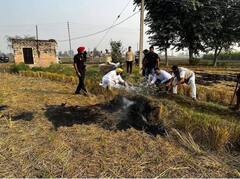 Jalandhar News: ਵਿਧਾਇਕ ਬਲਕਾਰ ਸਿੰਘ ਕਾਫਲਾ ਰੋਕ ਖ਼ੁਦ ਹੀ ਬੁਝਾਉਣ ਲੱਗੇ ਪਰਾਲੀ ਨੂੰ ਲੱਗੀ ਅੱਗ 