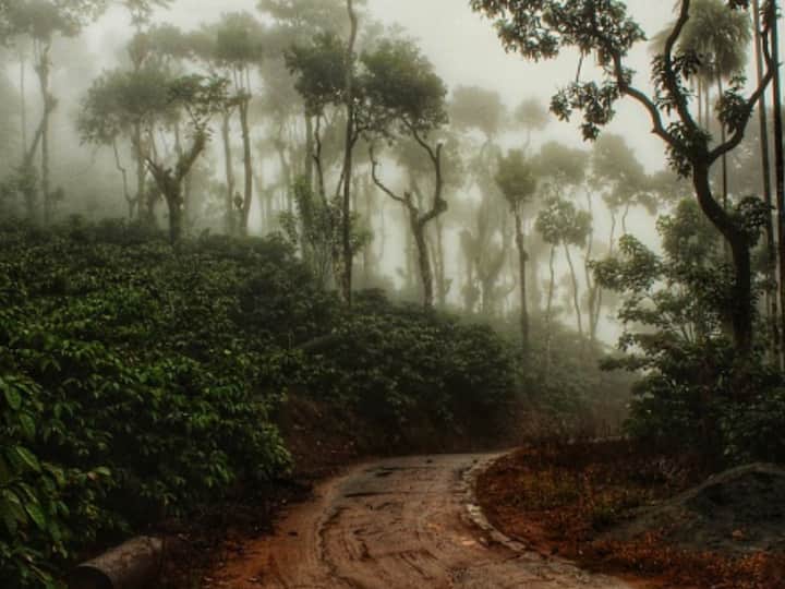 Chikmagalur- The calm city of Chikmagalur, commonly referred to as the 