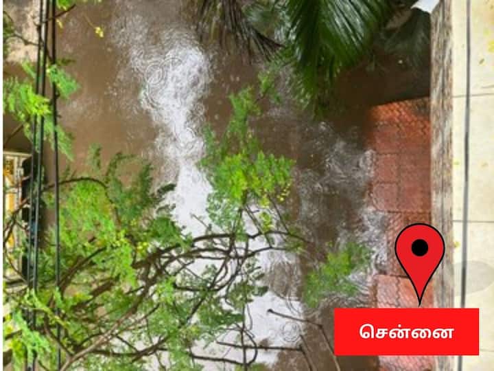 கனமழையினால் சென்னையில் முறிந்து விழுந்த மரத்தை படத்தில் காணலாம்