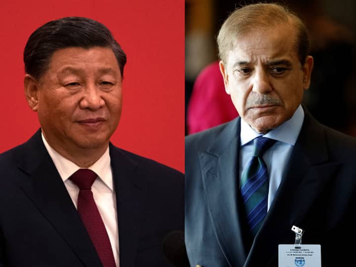 'Deeply Concerned' About Security Of Chinese People In Pakistan, Xi Jinping Tells Sharif 'Deeply Concerned' About Security Of Chinese People In Pakistan, Xi Jinping Tells Sharif
