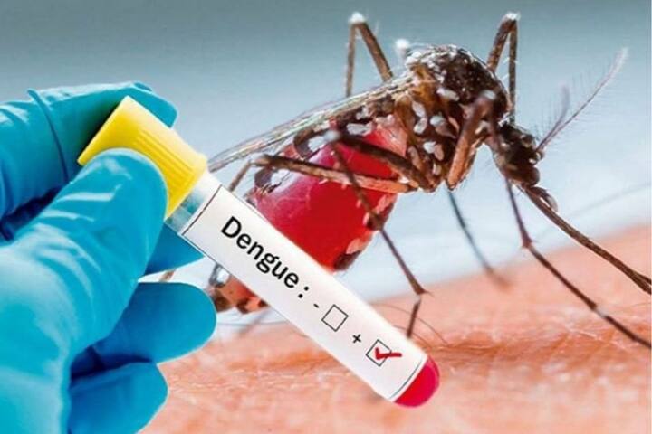 Dengue Prevention tips causes symptoms and all about platelets in hindi Dengue Platelet Transfusion: डेंगू के मरीजों को इस कंडीशन में पड़ती है प्लेटलेट्स चढ़ाने की जरूरत, समझें इसका पूरा गणित
