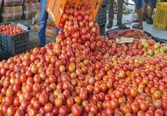 Photo : आवक वाढल्यानं टोमॅटोच्या दरात मोठी घसरण