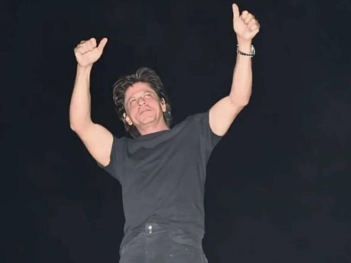 Happy Birthday Shah Rukh Khan Hits Flops Movies Box Office Collection Analysis Happy Birthday SRK: హిట్ లేక ఇబ్బంది పడుతున్న షారుఖ్,  2023లోనైనా ఫామ్‌లోకి వచ్చేనా?