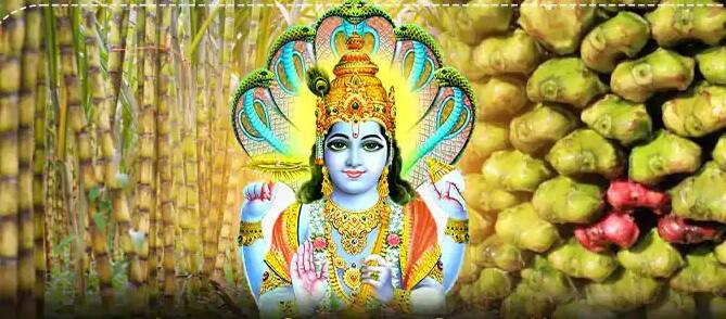 Dev uthani Ekadashi 2022 donating water chestnut sweet potato and plum sugarcane on this day-luck shines Dev Uthani Ekadashi 2022: દેવઉઠી એકાદશી ક્યારે છે? આ દિવસે આ ચીજોનું દાન કરવાથી ચમકશે કિસ્મત