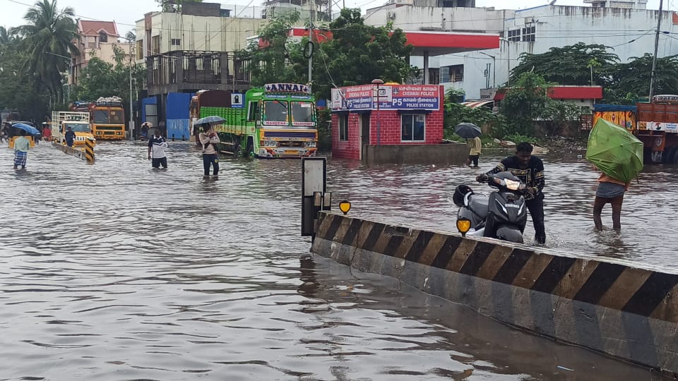 Chennai Rains: Trees Uprooted, Inundated Homes & Waterlogging. See Pics